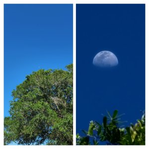 GridArt_20220410_181751613.jpg