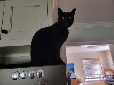20220213_132820.jpg