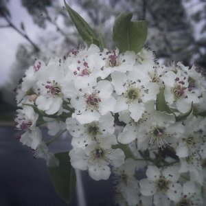 IMG_20130503_135212.jpg