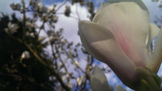 IMAG0177.jpg