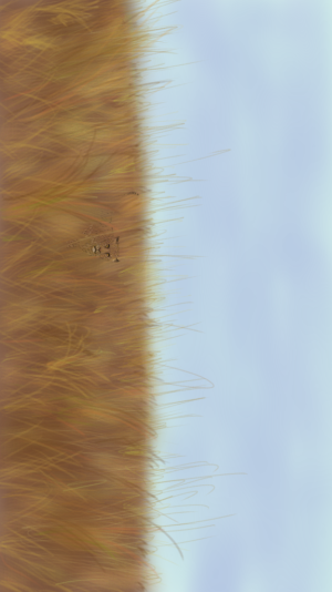 sketch1367863345155[1].png