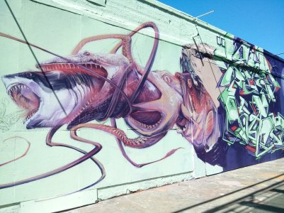 IMG_20130504_110454[2].jpg