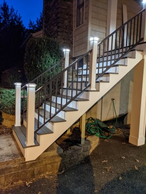 newsteps.jpg