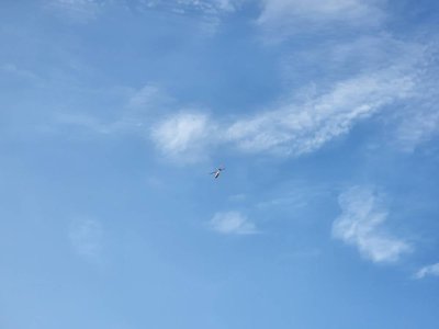 20220421_080453.jpg