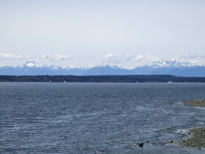 PXL_20220417_213952118-.jpg