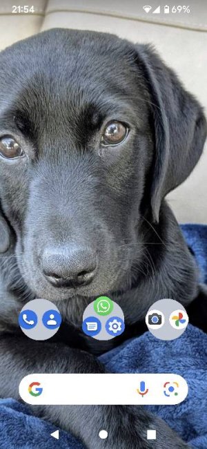 Screenshot_20220428-215419.jpg