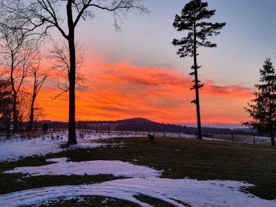 Sunset2-1-2022.jpg