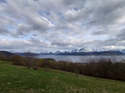 20220501_183251.jpg