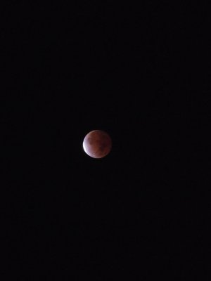 20211119_030234.jpg