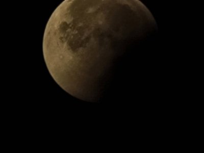20211119_053421.jpg