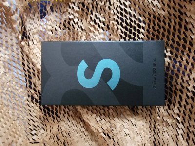 2390.jpg