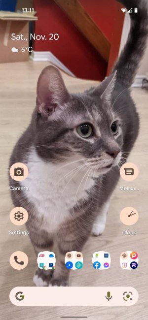 Screenshot_20211120-131135.jpg