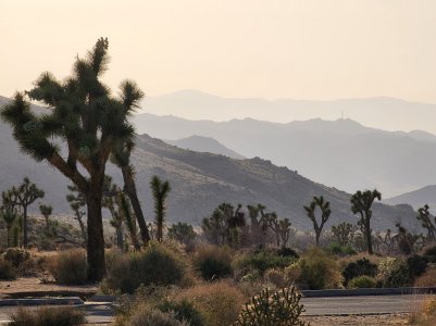 20220502_181747.jpg