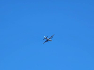 48794.jpg
