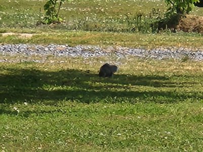 20220511_152819.jpg