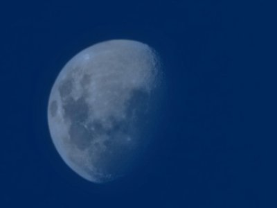 20220511_183730.jpg