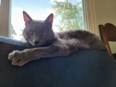 20220513_180712.jpg
