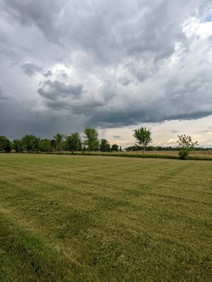 PXL_20220514_215428726.jpg
