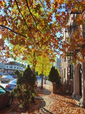 20211119_084930_HDR.jpg