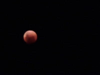 20220515_233438.jpg