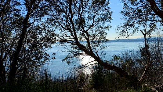vlcsnap-2022-02-26-21h07m00s497.jpg