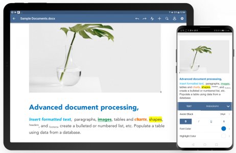 documents.jpg