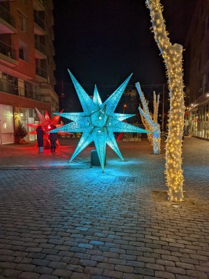 PXL_20211202_004308222.jpg