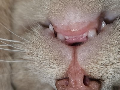 20220520_180225.jpg