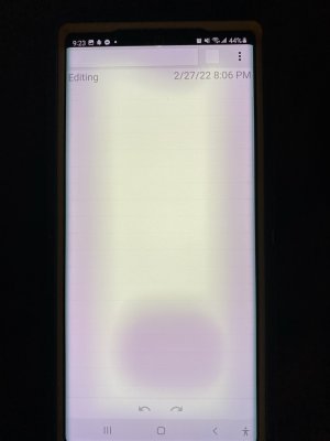 IMG_0548.jpg