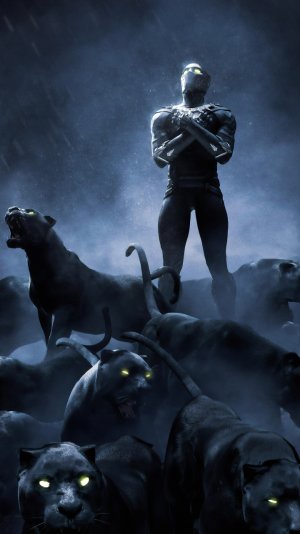 black-panther-4k-rise-up-58-2160x3840.jpg