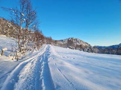 20211203_120743.jpg