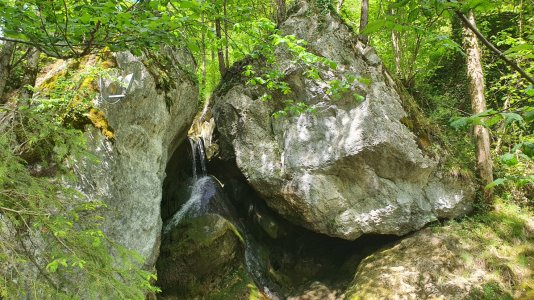 20220526_150502.jpg