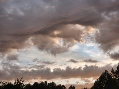 20220526_193556.jpg