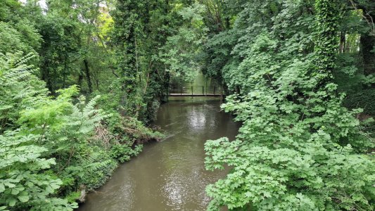 20220529_084133.jpg