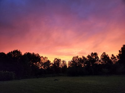 20220706_200101.jpg