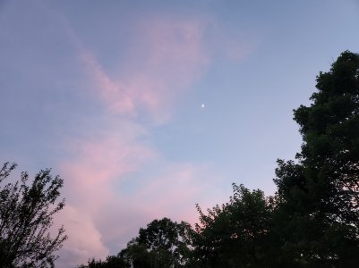 20220705_201503.jpg