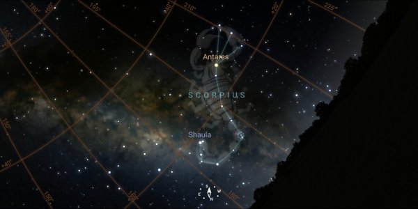 Screenshot_20220706-234206.jpg