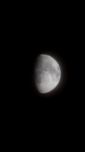20220708_213202_resized.jpg