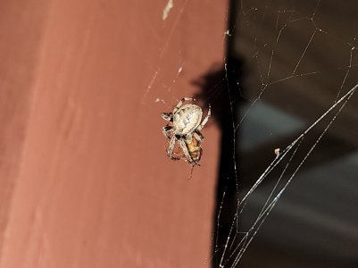 20220708_215437.jpg