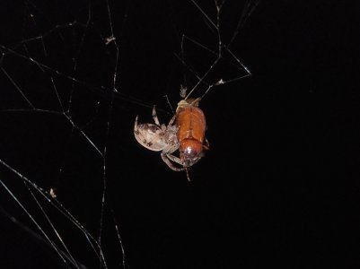 20220708_215352.jpg