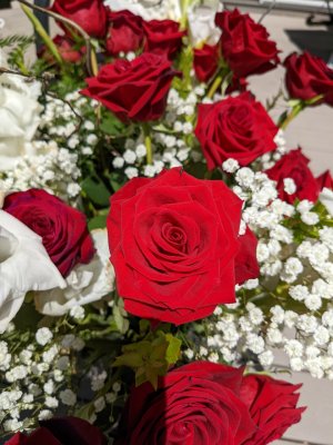 Rose Bud1.jpg