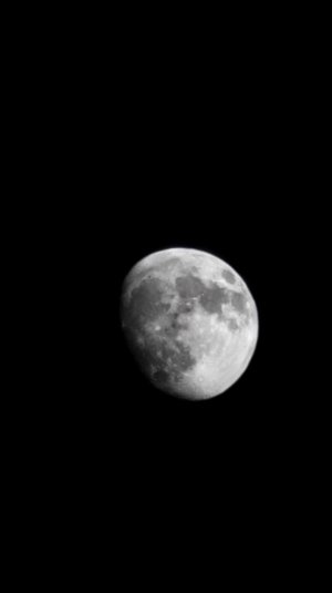 20220710_202045_resized.jpg