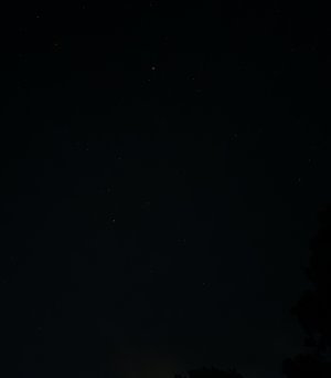 20220710_215914_resized (1).jpg