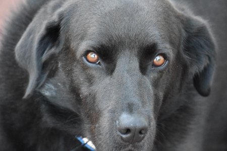 Shadow-close up.jpg