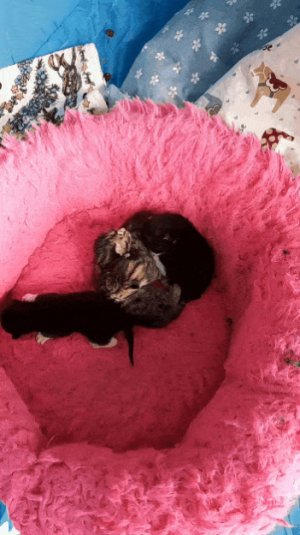 GIF-220311_123516.jpg