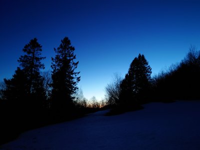 20220311_192428.jpg