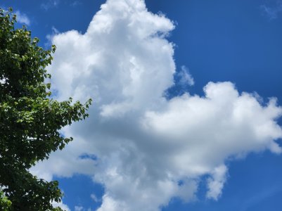 20220604_115604.jpg