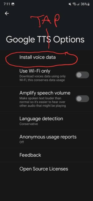 Screenshot_20220605-191200_Speech%20Services%20by%20Google.jpg
