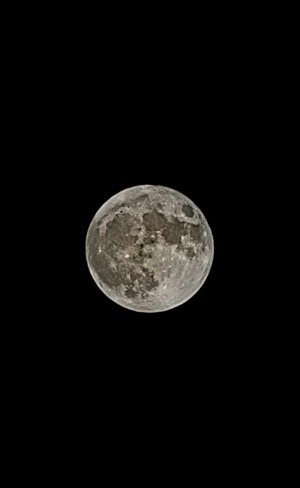 20220713_232724.jpg