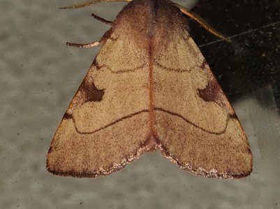 20221020_234614.jpg